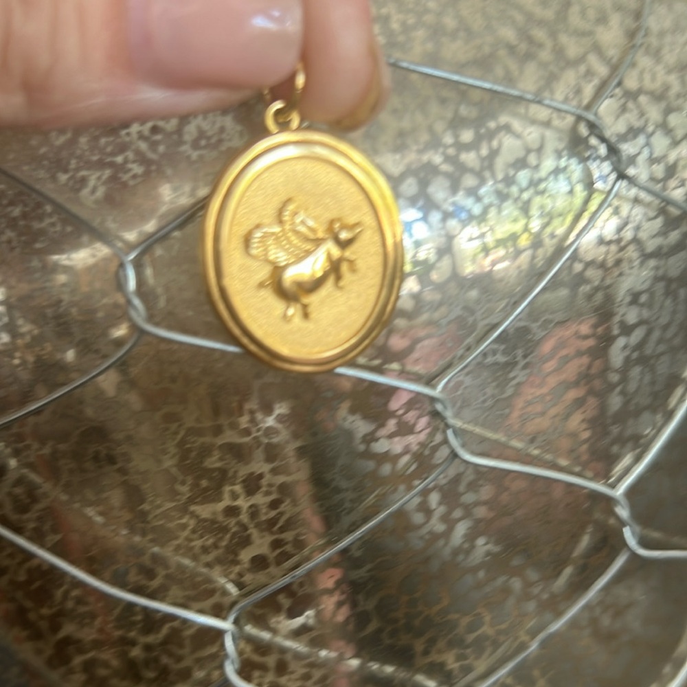 Miranda Frye charm When pigs fly oval